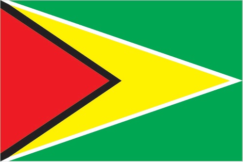 Guyana Flag
